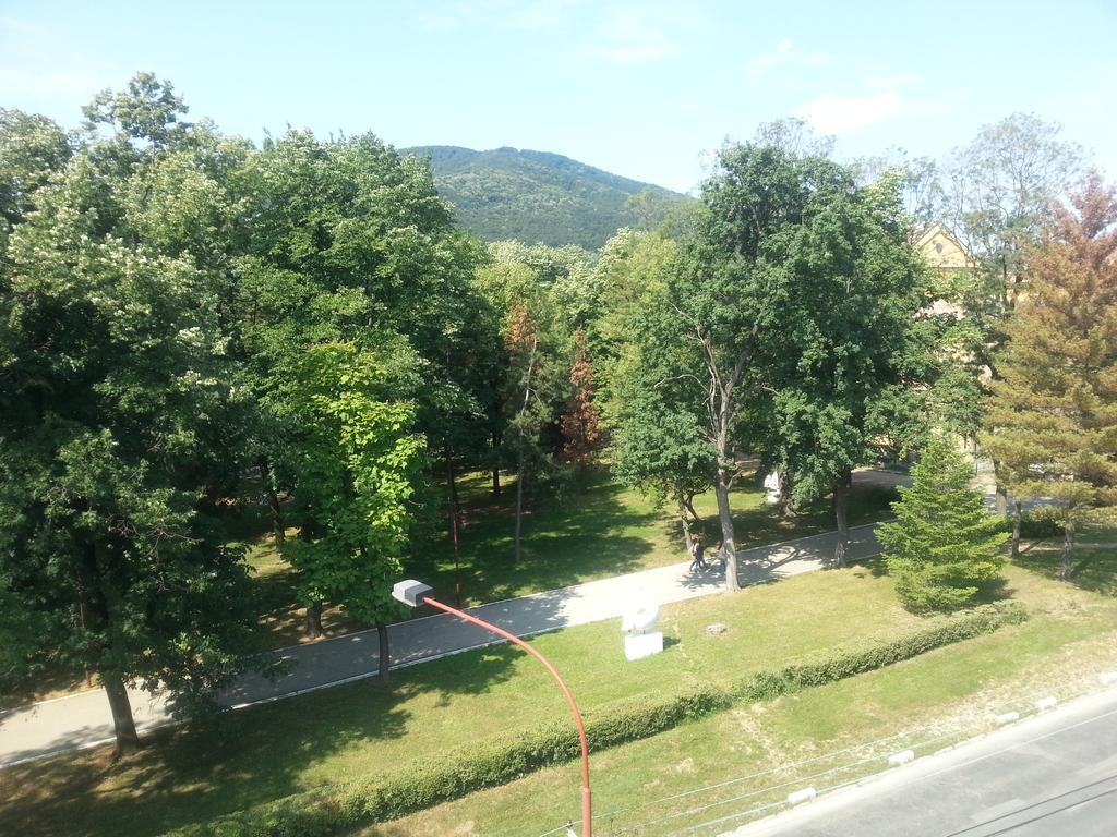 Park Srce Apartments Arandjelovac Rum bild
